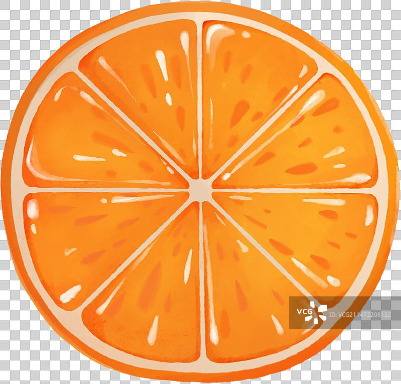 切开的橙子汁水满满横截面手绘插画图片素材