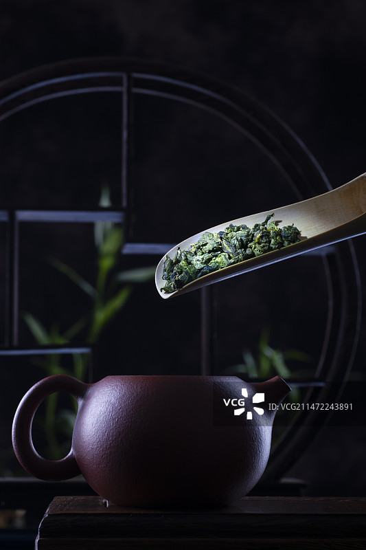 铁观音 茶叶图片素材