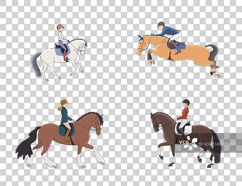 马术运动：场地障碍赛和盛装舞步图片素材