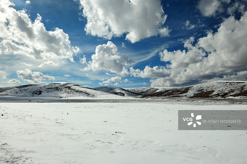 阿坝红原草原冬雪图片素材