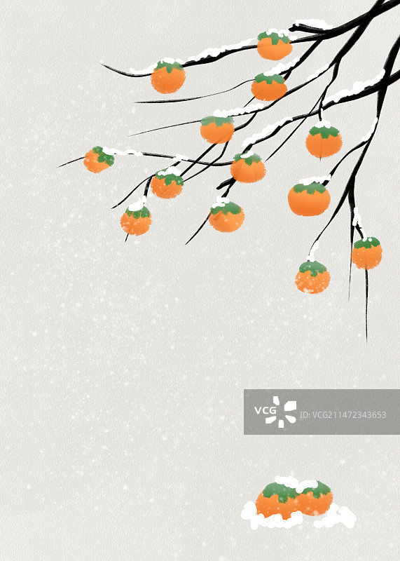 冬季柿子树背景图片素材