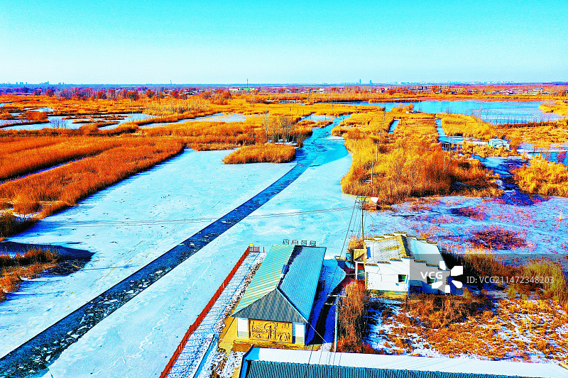 华北明珠白洋淀，雪后风光美无限 （赵庄子村）图片素材