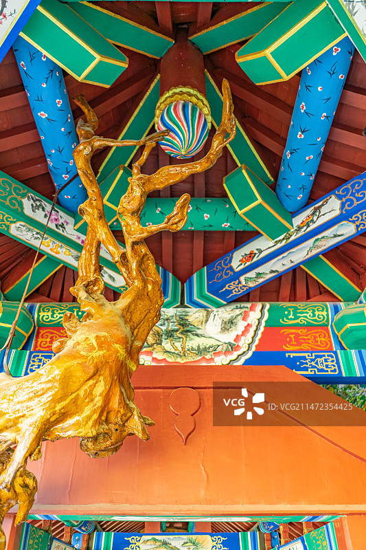 中国传统文化复古建筑拍摄主题，山东省泰安市泰山区广生泉公园长廊里的黄色树根树干，户外白昼无人图像摄影图片素材