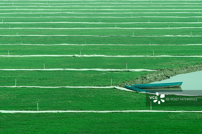 一元复始，万象更新。序幕拉开，欣欣向荣。图片素材