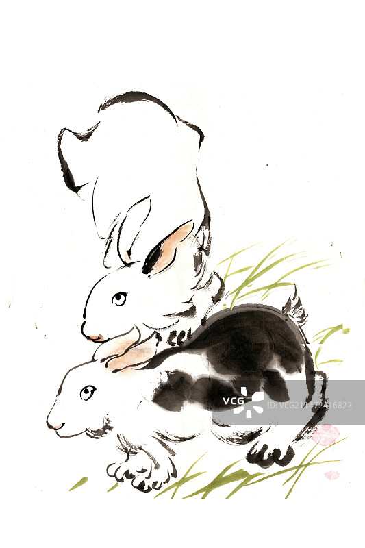 可爱的兔子图片素材