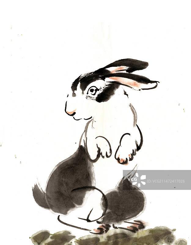 站立的兔子图片素材