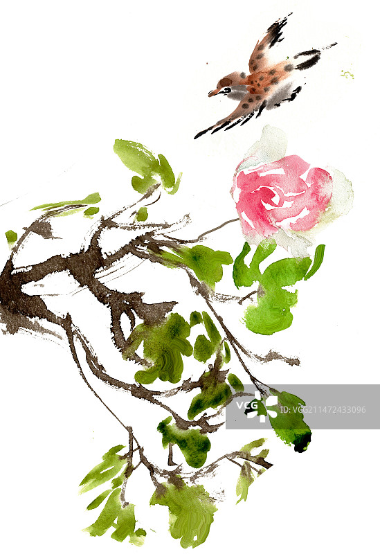 鲜花与小鸟图片素材