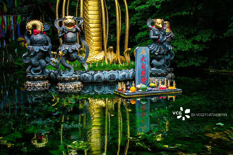 丽江旅拍---玉水寨  5图片素材