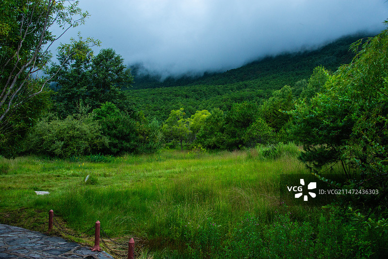 丽江旅拍---玉水寨  13图片素材