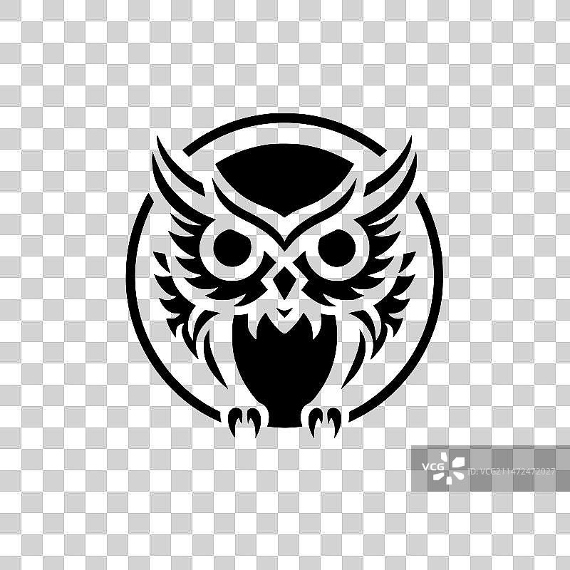 猫头鹰——黑白相间图片素材