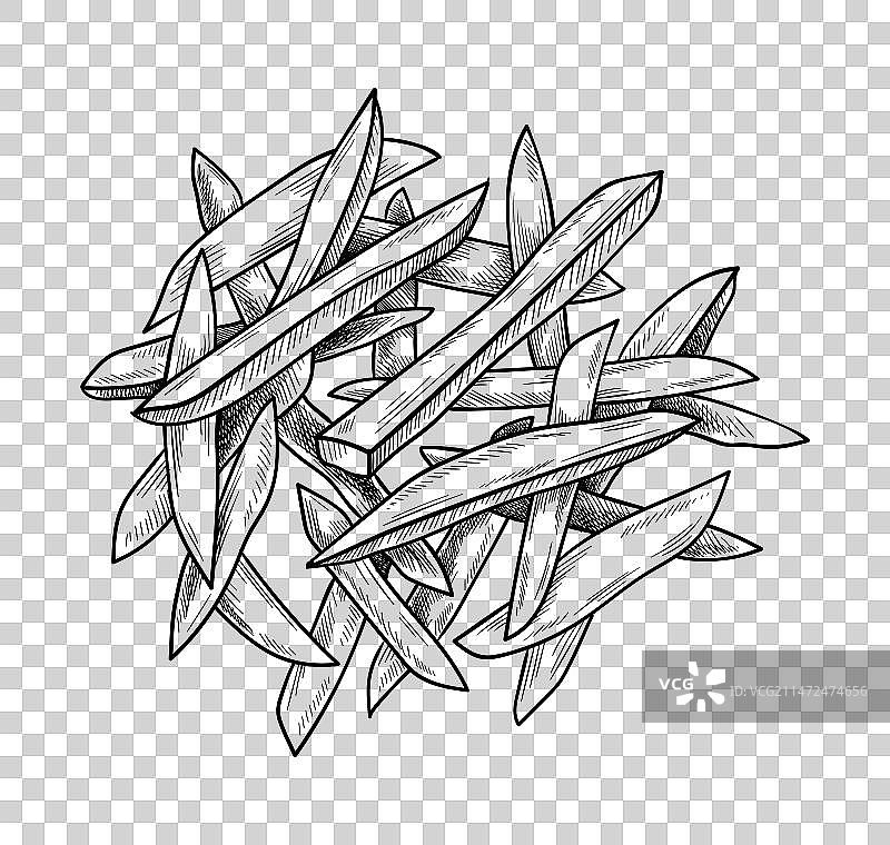 土豆菜肴素描图片素材
