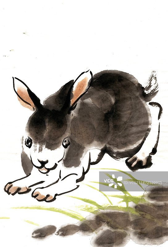 趴着的黑兔子图片素材