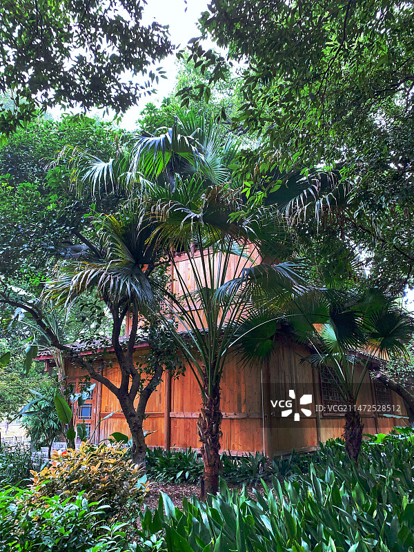 绿树掩映下的木屋        摄于桂林市南溪山公园。图片素材