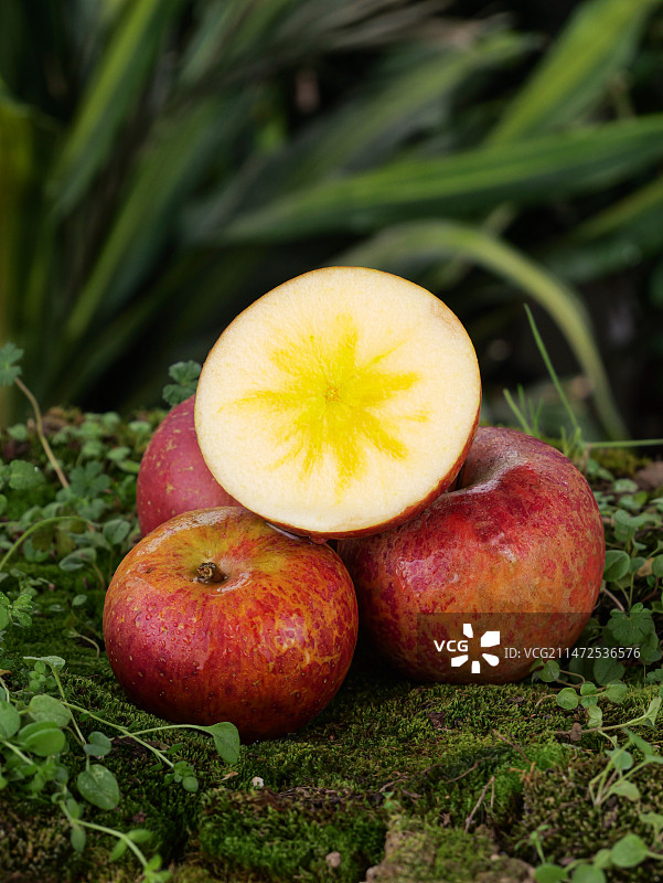 深底上的丑苹果图片素材