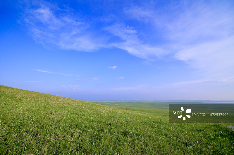 乌拉盖草原图片素材