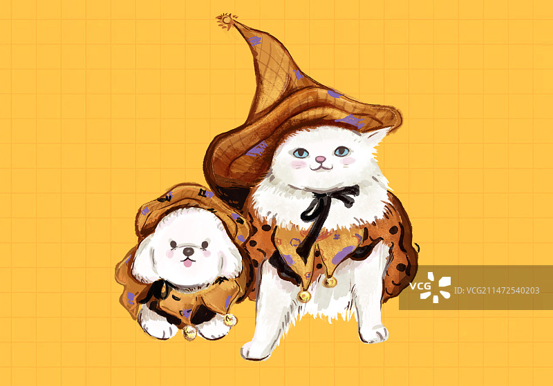 猫猫狗狗图片素材