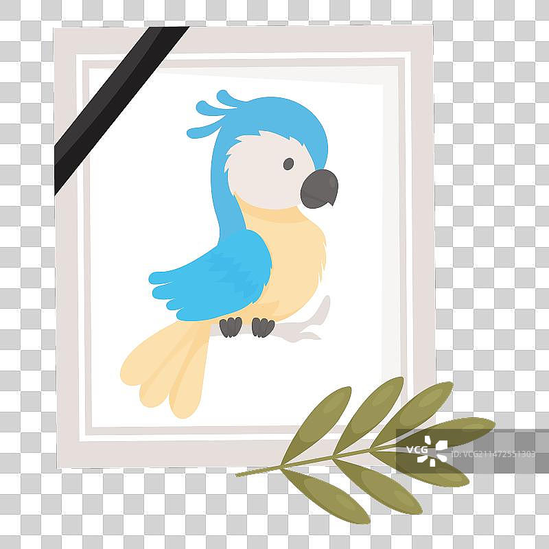 已故黄蓝色鹦鹉的哀悼照片图片素材