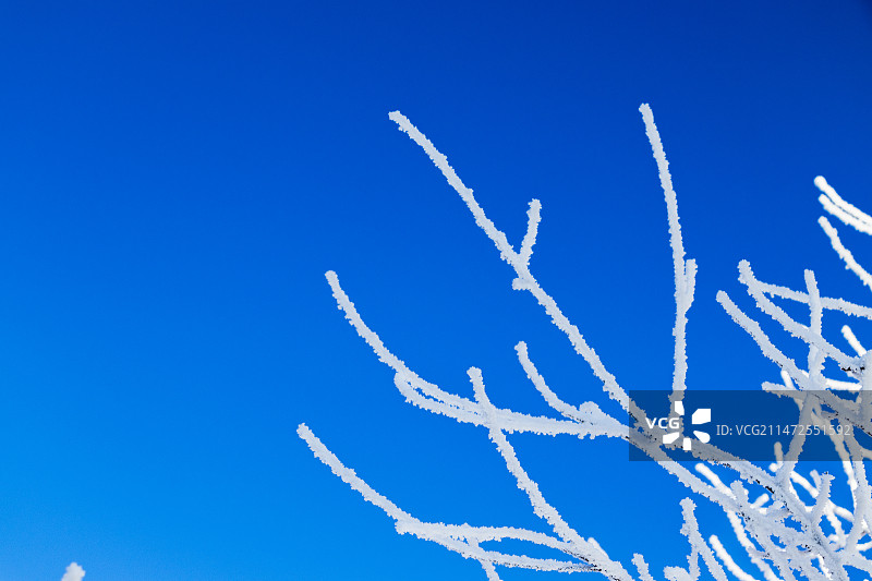 雾凇特写图片素材