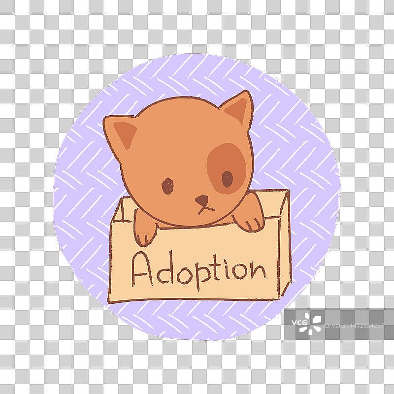 可爱红毛猫在盒子里，宠物领养图片素材