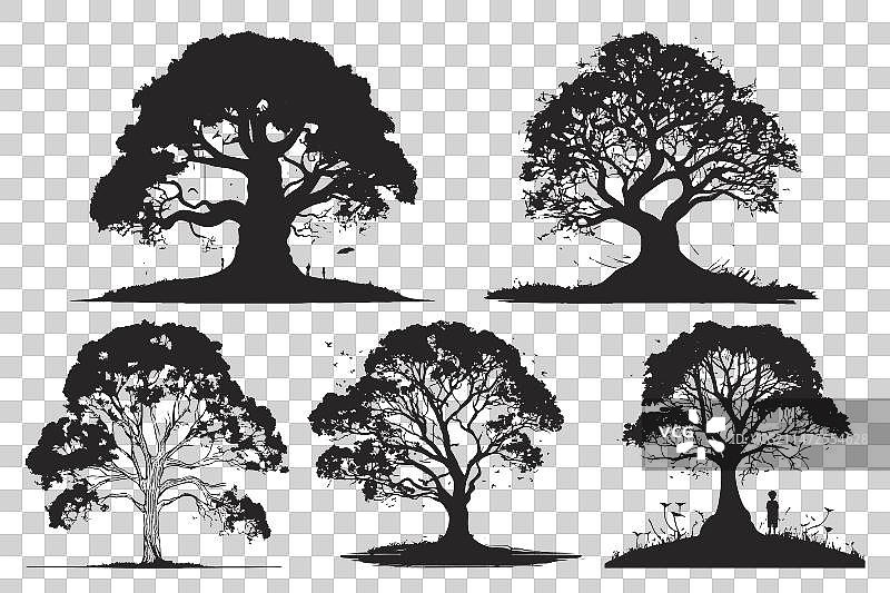 夏季大树剪影合集图片素材