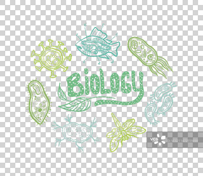 生物学标题草图涂鸦背景图片素材