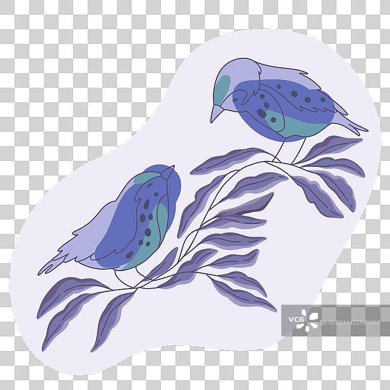 两只鸟栖息在树枝上图片素材