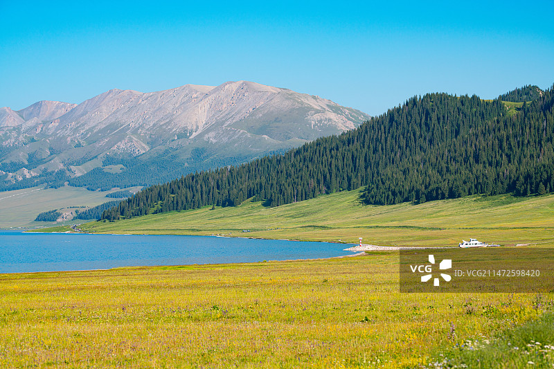 新疆伊犁霍城县赛里木湖及周边草原森林风光图片素材