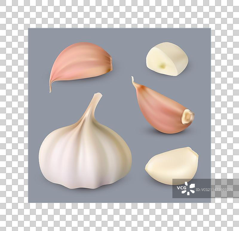 逼真风格大蒜蔬菜素材图片素材