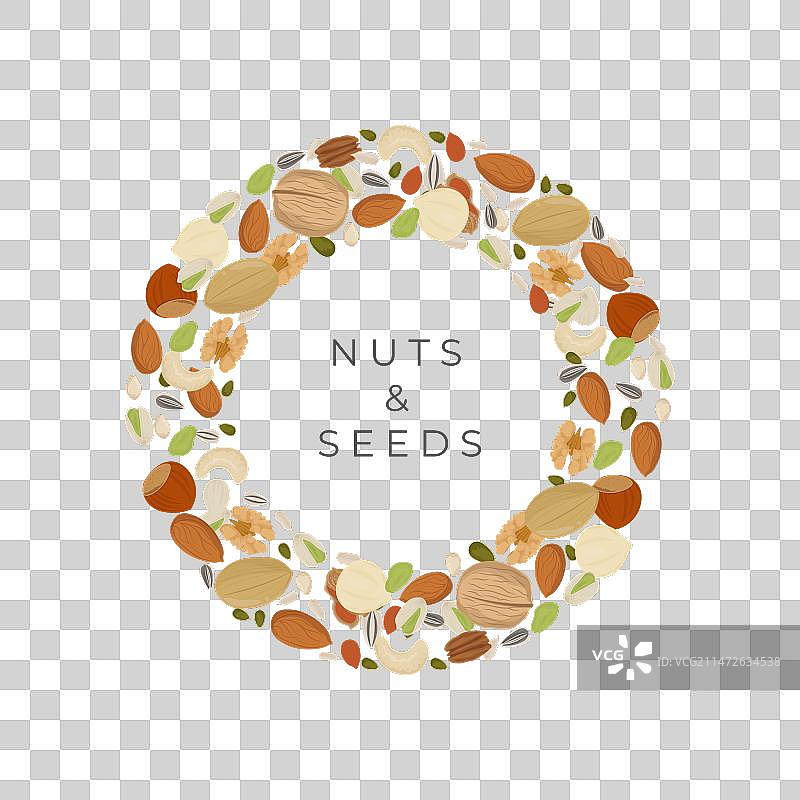 圆形干果和种子图片素材
