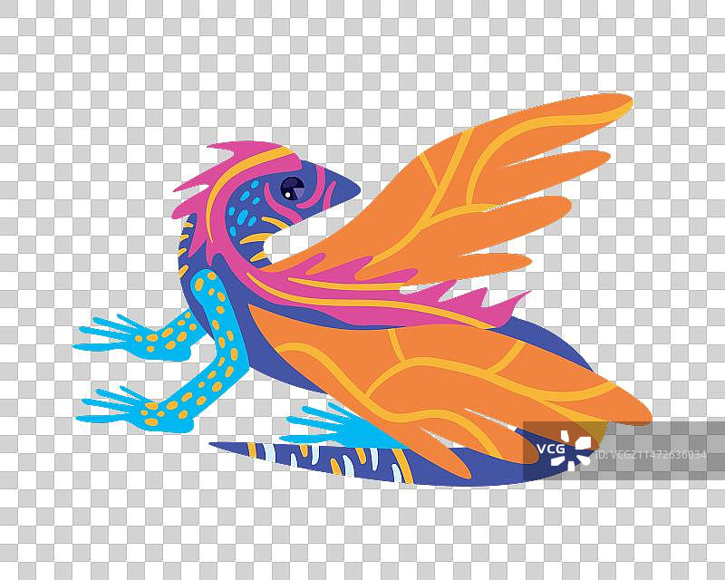 墨西哥阿莱布里赫龙图片素材