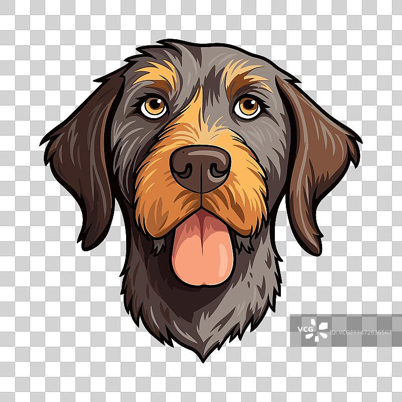 德国刚毛指示犬卡通形象图片素材