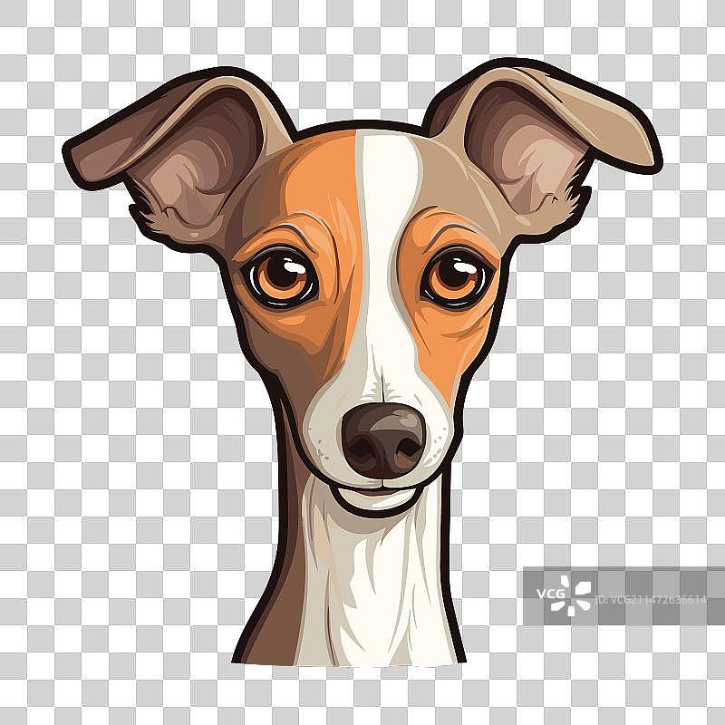 意大利格雷伊猎犬可爱卡通形象图片素材