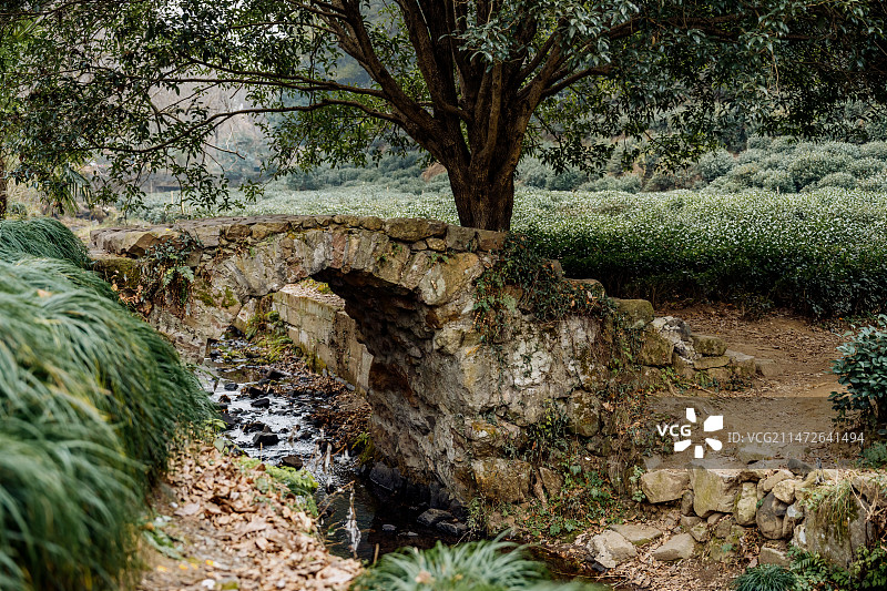 灵隐景区的小桥流水图片素材