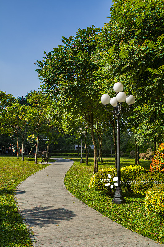 深圳  福田区 荔枝公园 园林景观 绿道 公园小路 绿化 步道 林荫小道 园林树林图片素材