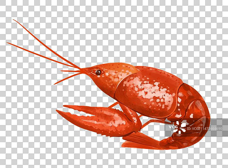 美味食材龙虾手绘风格插画元素图片素材