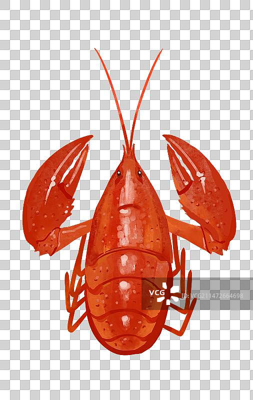 美味食材龙虾手绘风格插画元素图片素材
