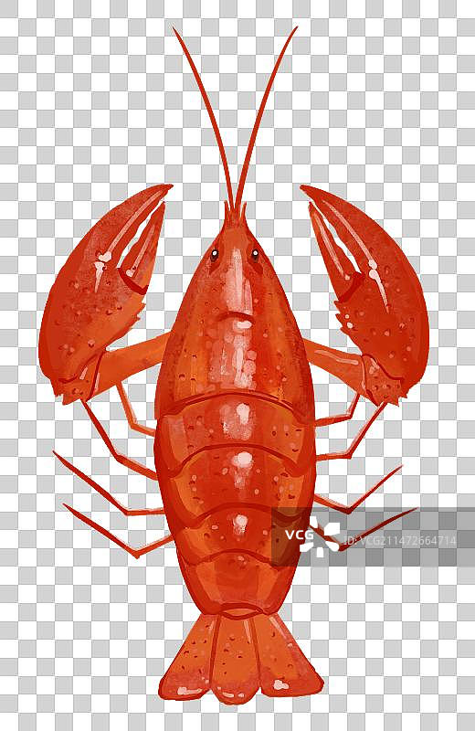 美味食材龙虾手绘风格插画元素图片素材