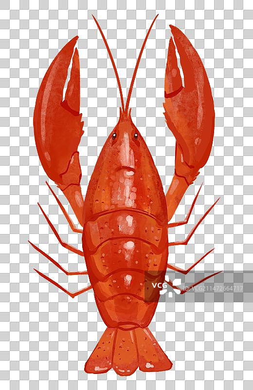 美味食材龙虾手绘风格插画元素图片素材