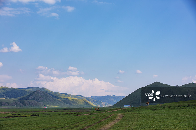 科尔沁草原 山地草原  扎鲁特旗  通辽图片素材