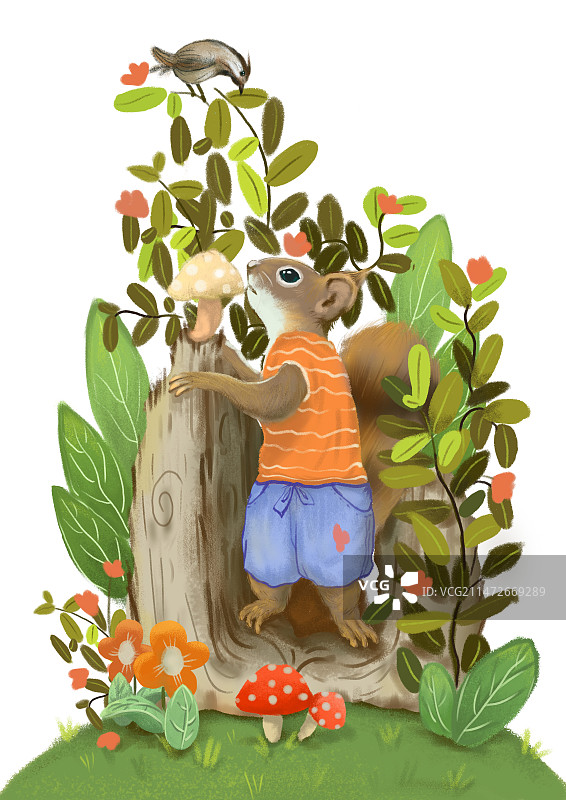 在花丛中的小松鼠图片素材