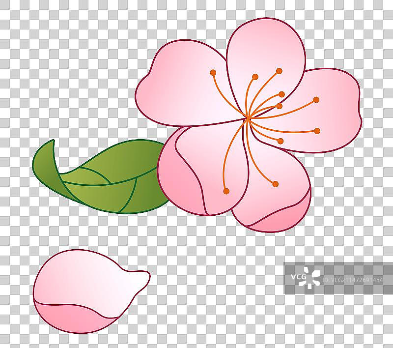 春日桃花图片素材