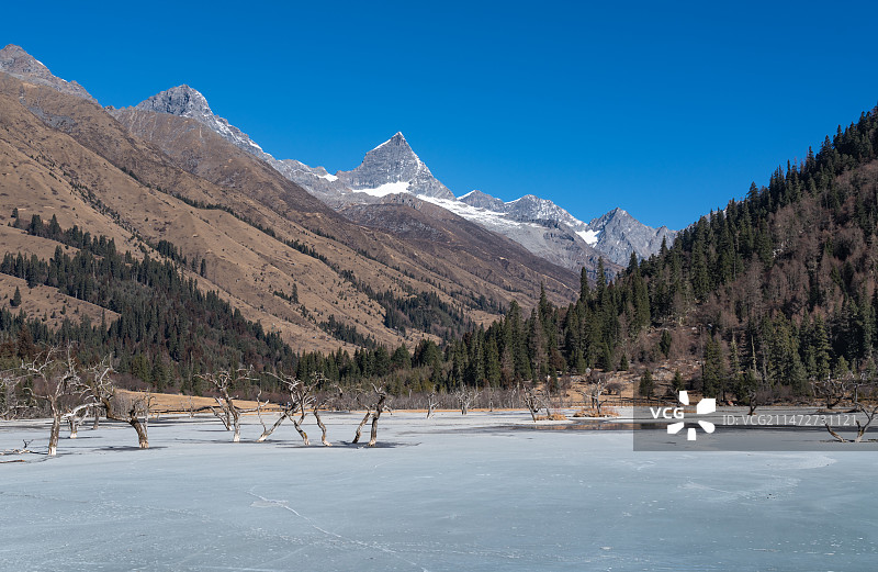 冬天的四姑娘山双桥沟风景图片素材