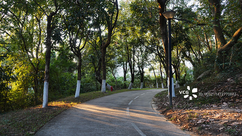 深圳燕晗山郊野公园图片素材