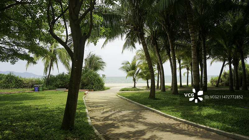 三亚湾椰梦长廊图片素材