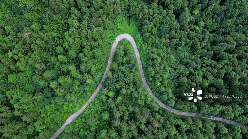 安吉大竹海图片素材