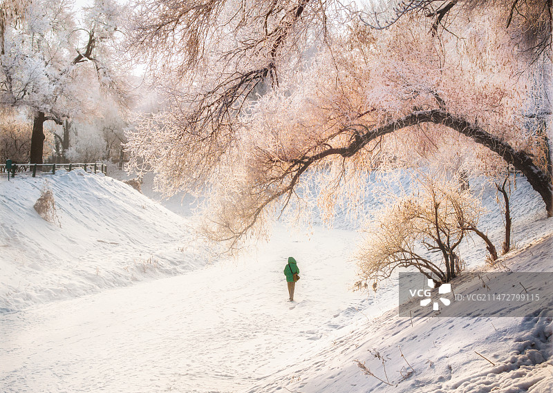 雪中独行图片素材