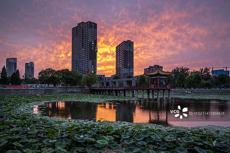 禹城大禹公园晚霞图片素材