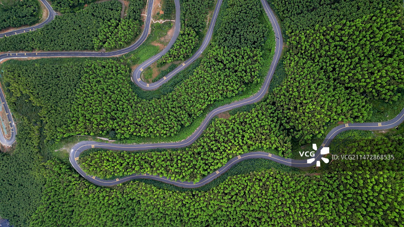 安吉大竹海图片素材