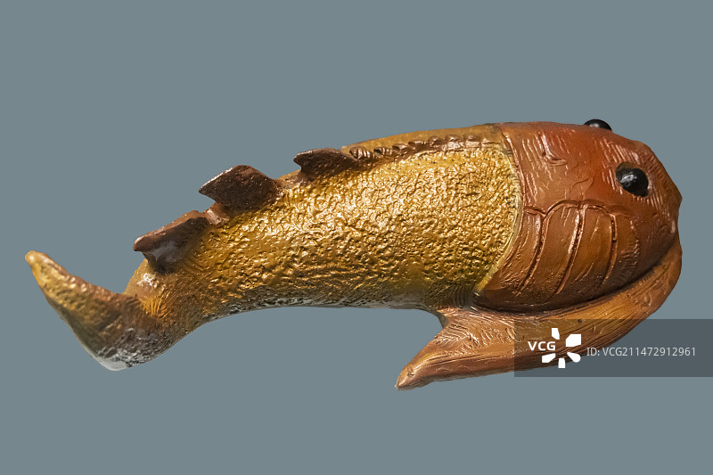 云南省博物馆“远古云南”展：早期爬行动物复原模型——产地：北美，时代：古生代晚期图片素材