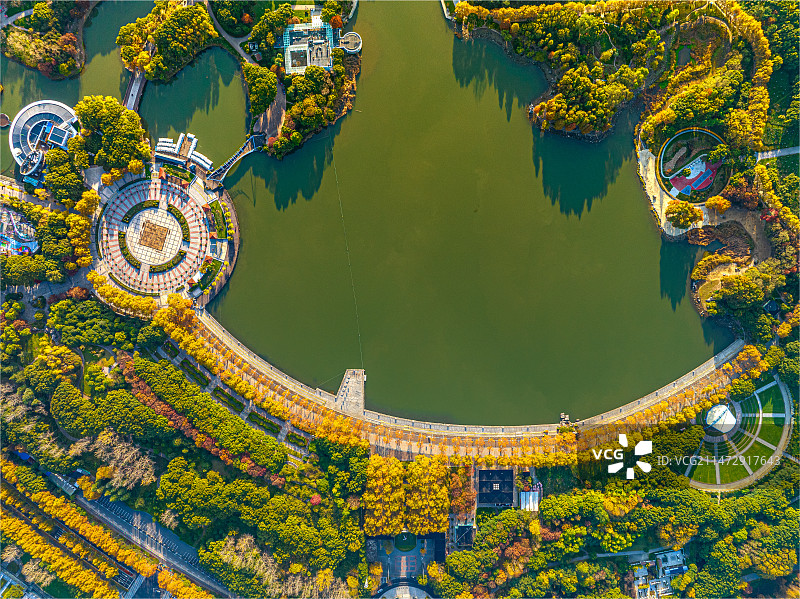 上海浦东世纪公园金秋风光 垂直俯拍花木社区地形图 镜天湖 人民城市 人居环境 中央公园 美拉德色系图片素材